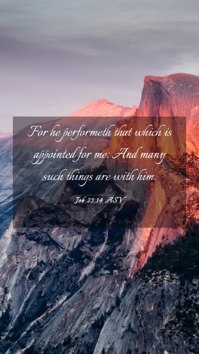 Picture 03 - Job 23:14 ASV Mobile Phone Wallpaper - For he performeth that which is appointed for me: - Mobile Bible Verse Wallpaper