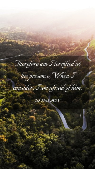Picture 03 - Job 23:15 ASV Mobile Phone Wallpaper - Therefore am I terrified at his presence; When I - Mobile Bible Verse Wallpaper