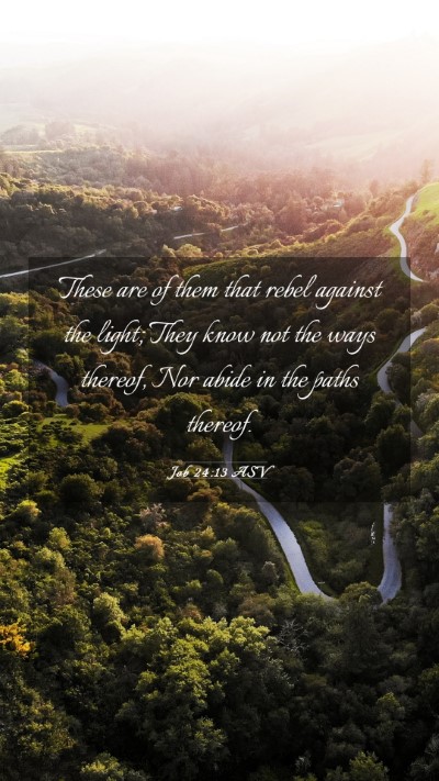 Picture 03 - Job 24:13 ASV Mobile Phone Wallpaper - These are of them that rebel against the light; - Mobile Bible Verse Wallpaper