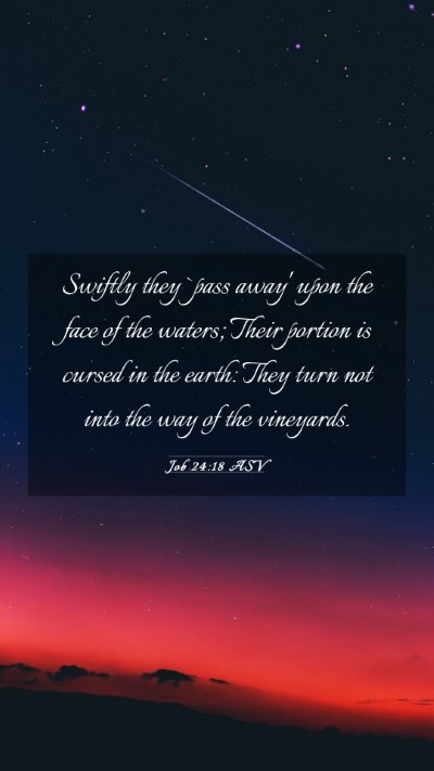 Picture 03 - Job 24:18 ASV Mobile Phone Wallpaper - Swiftly they `pass away' upon the face of the - Mobile Bible Verse Wallpaper