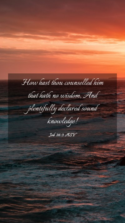 Picture 03 - Job 26:3 ASV Mobile Phone Wallpaper - How hast thou counselled him that hath no wisdom, - Mobile Bible Verse Wallpaper