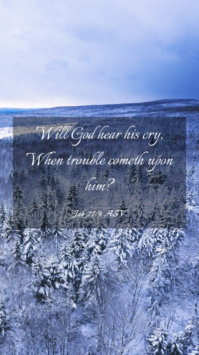 Picture 03 - Job 27:9 ASV Mobile Phone Wallpaper - Will God hear his cry, When trouble cometh upon - Mobile Bible Verse Wallpaper