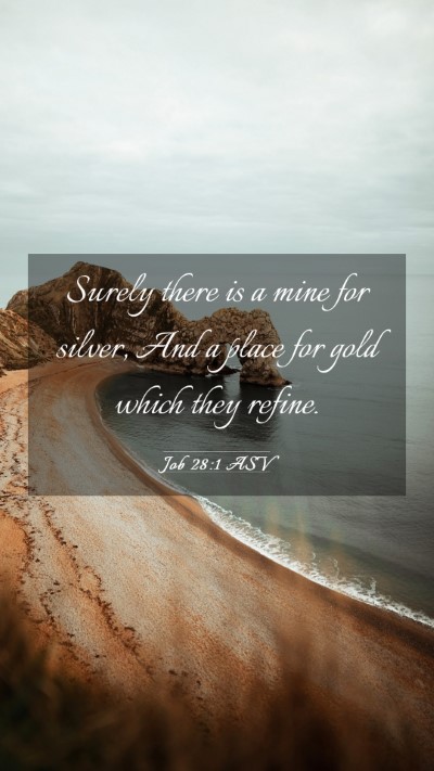 Picture 03 - Job 28:1 ASV Mobile Phone Wallpaper - Surely there is a mine for silver, And a place - Mobile Bible Verse Wallpaper