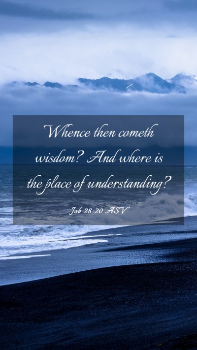 Picture 03 - Job 28:20 ASV Mobile Phone Wallpaper - Whence then cometh wisdom? And where is the place - Mobile Bible Verse Wallpaper