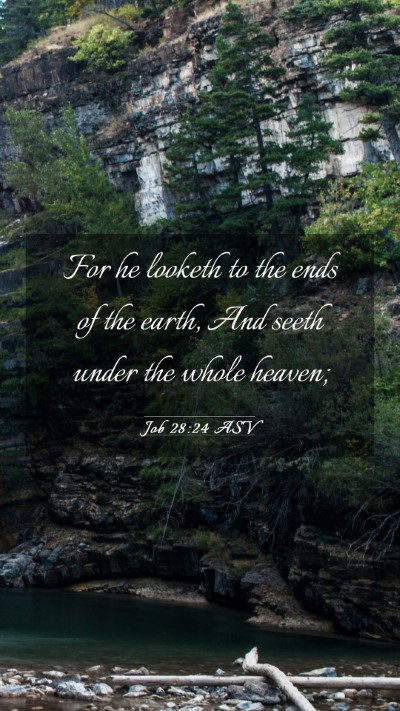 Picture 03 - Job 28:24 ASV Mobile Phone Wallpaper - For he looketh to the ends of the earth, And - Mobile Bible Verse Wallpaper