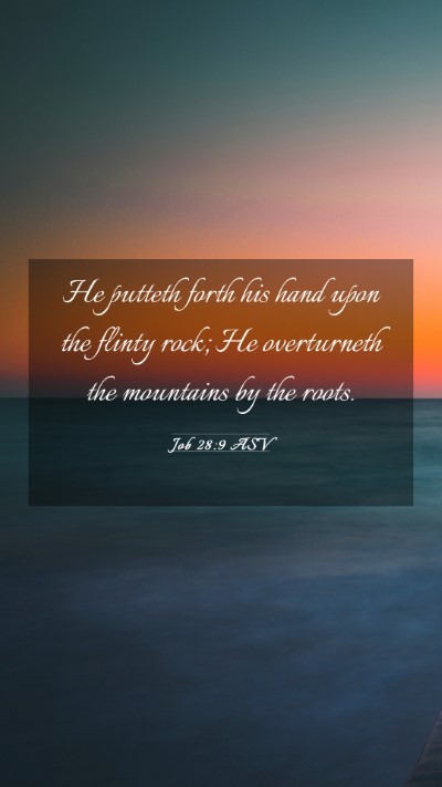 Picture 03 - Job 28:9 ASV Mobile Phone Wallpaper - He putteth forth his hand upon the flinty rock; - Mobile Bible Verse Wallpaper