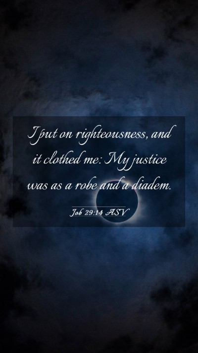 Picture 03 - Job 29:14 ASV Mobile Phone Wallpaper - I put on righteousness, and it clothed me: My - Mobile Bible Verse Wallpaper