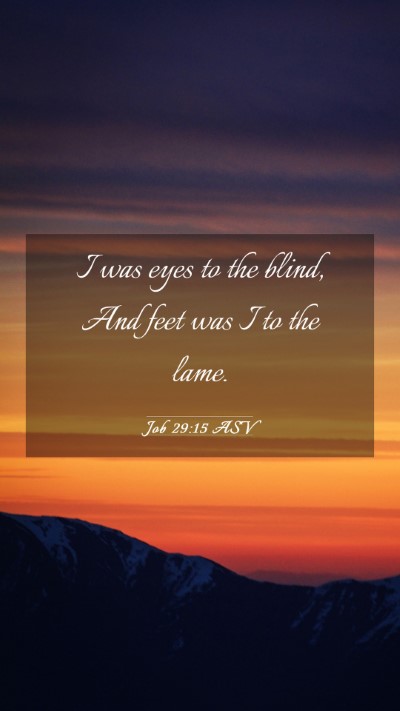 Picture 03 - Job 29:15 ASV Mobile Phone Wallpaper - I was eyes to the blind, And feet was I to the - Mobile Bible Verse Wallpaper