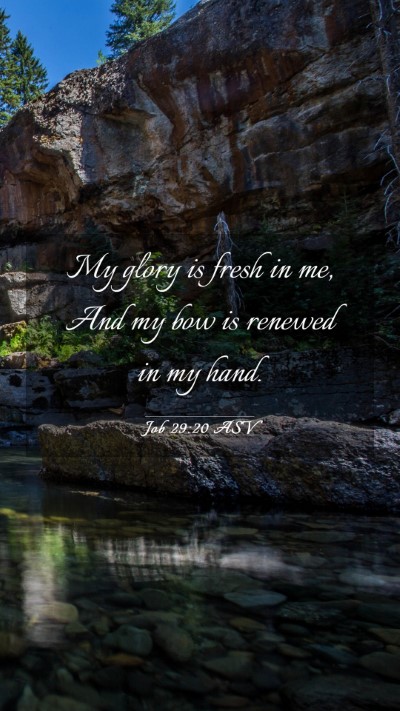 Picture 03 - Job 29:20 ASV Mobile Phone Wallpaper - My glory is fresh in me, And my bow is renewed in - Mobile Bible Verse Wallpaper