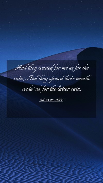 Picture 03 - Job 29:23 ASV Mobile Phone Wallpaper - And they waited for me as for the rain; And they - Mobile Bible Verse Wallpaper
