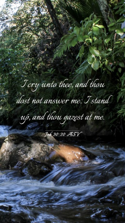 Picture 03 - Job 30:20 ASV Mobile Phone Wallpaper - I cry unto thee, and thou dost not answer me: I - Mobile Bible Verse Wallpaper