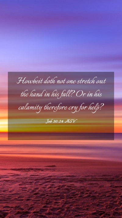 Picture 03 - Job 30:24 ASV Mobile Phone Wallpaper - Howbeit doth not one stretch out the hand in his - Mobile Bible Verse Wallpaper