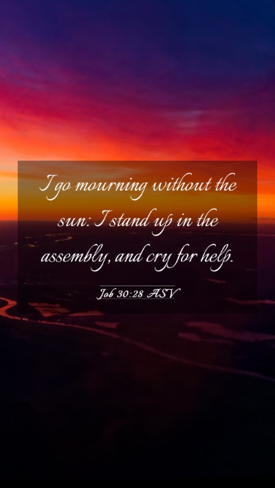 Picture 03 - Job 30:28 ASV Mobile Phone Wallpaper - I go mourning without the sun: I stand up in the - Mobile Bible Verse Wallpaper