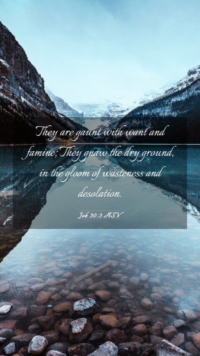 Picture 03 - Job 30:3 ASV Mobile Phone Wallpaper - They are gaunt with want and famine; They gnaw - Mobile Bible Verse Wallpaper