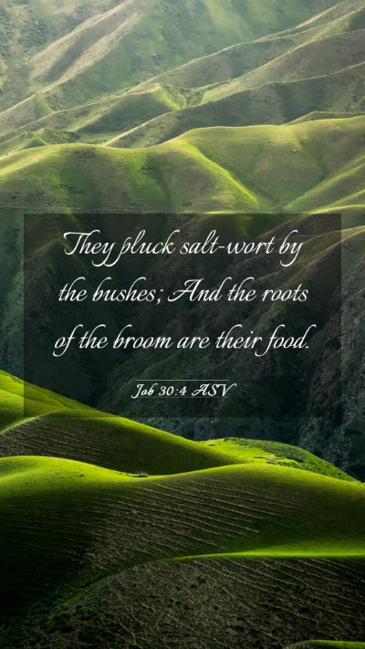 Picture 03 - Job 30:4 ASV Mobile Phone Wallpaper - They pluck salt-wort by the bushes; And the roots - Mobile Bible Verse Wallpaper