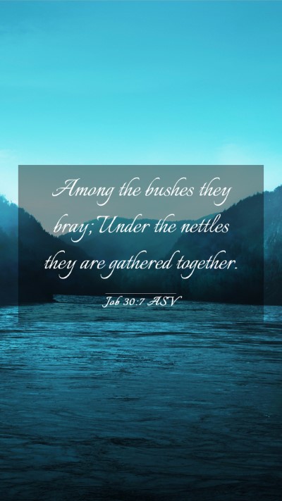 Picture 03 - Job 30:7 ASV Mobile Phone Wallpaper - Among the bushes they bray; Under the nettles - Mobile Bible Verse Wallpaper