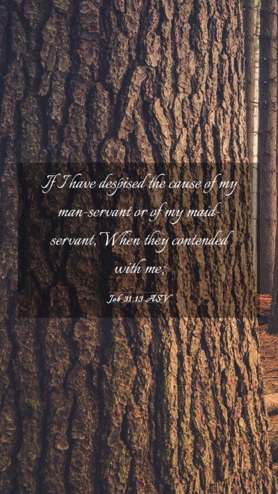 Picture 03 - Job 31:13 ASV Mobile Phone Wallpaper - If I have despised the cause of my man-servant or - Mobile Bible Verse Wallpaper