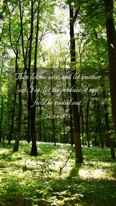 Picture 03 - Job 31:8 ASV Mobile Phone Wallpaper - Then let me sow, and let another eat; Yea, let - Mobile Bible Verse Wallpaper