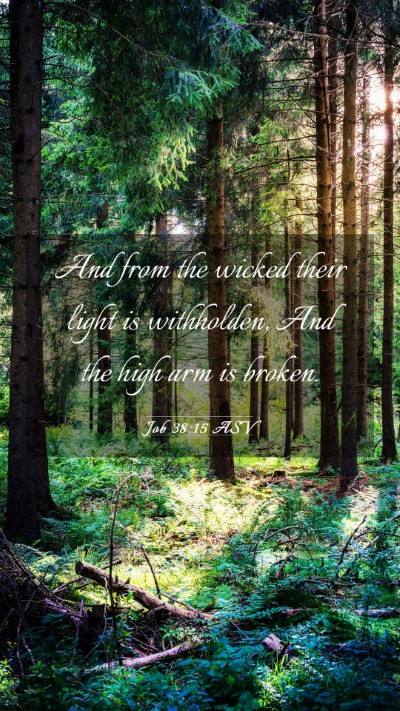 Picture 03 - Job 38:15 ASV Mobile Phone Wallpaper - And from the wicked their light is withholden, - Mobile Bible Verse Wallpaper