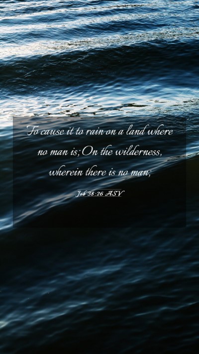 Picture 03 - Job 38:26 ASV Mobile Phone Wallpaper - To cause it to rain on a land where no man is; On - Mobile Bible Verse Wallpaper