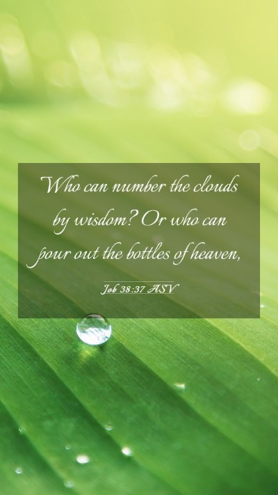 Picture 03 - Job 38:37 ASV Mobile Phone Wallpaper - Who can number the clouds by wisdom? Or who can - Mobile Bible Verse Wallpaper