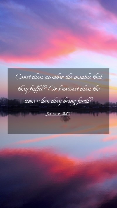Picture 03 - Job 39:2 ASV Mobile Phone Wallpaper - Canst thou number the months that they fulfil? Or - Mobile Bible Verse Wallpaper
