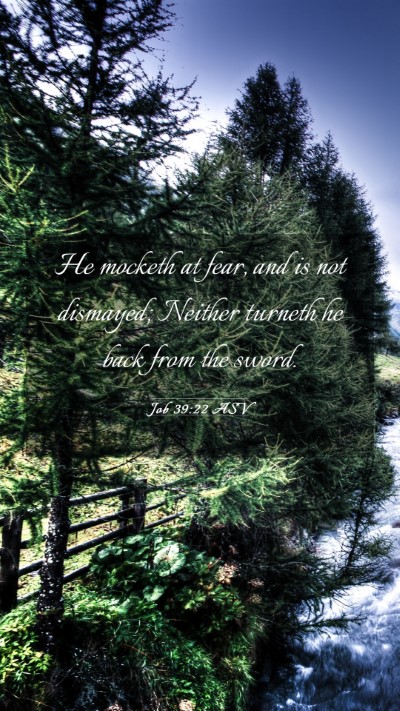 Picture 03 - Job 39:22 ASV Mobile Phone Wallpaper - He mocketh at fear, and is not dismayed; Neither - Mobile Bible Verse Wallpaper