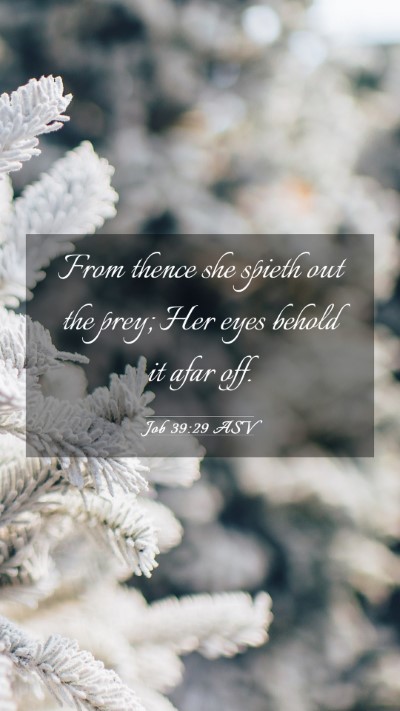 Picture 03 - Job 39:29 ASV Mobile Phone Wallpaper - From thence she spieth out the prey; Her eyes - Mobile Bible Verse Wallpaper