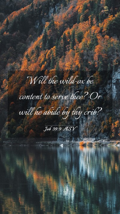 Picture 03 - Job 39:9 ASV Mobile Phone Wallpaper - Will the wild-ox be content to serve thee? Or - Mobile Bible Verse Wallpaper