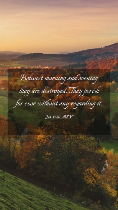 Picture 03 - Job 4:20 ASV Mobile Phone Wallpaper - Betwixt morning and evening they are destroyed: - Mobile Bible Verse Wallpaper
