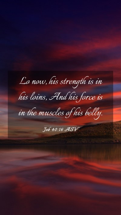 Picture 03 - Job 40:16 ASV Mobile Phone Wallpaper - Lo now, his strength is in his loins, And his - Mobile Bible Verse Wallpaper