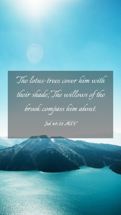Picture 03 - Job 40:22 ASV Mobile Phone Wallpaper - The lotus-trees cover him with their shade; The - Mobile Bible Verse Wallpaper
