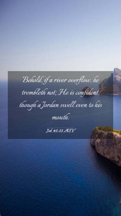 Picture 03 - Job 40:23 ASV Mobile Phone Wallpaper - Behold, if a river overflow, he trembleth not; He - Mobile Bible Verse Wallpaper