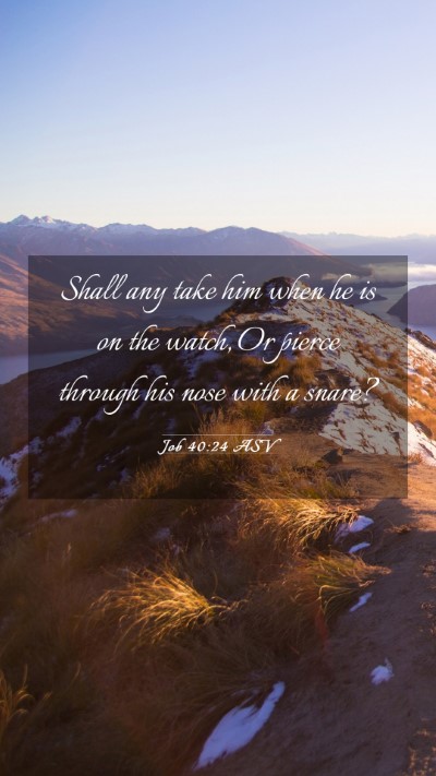 Picture 03 - Job 40:24 ASV Mobile Phone Wallpaper - Shall any take him when he is on the watch, Or - Mobile Bible Verse Wallpaper