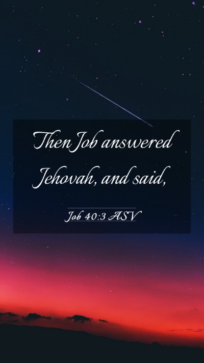 Picture 03 - Job 40:3 ASV Mobile Phone Wallpaper - Then Job answered Jehovah, and - Mobile Bible Verse Wallpaper