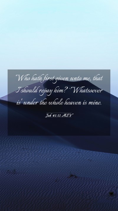 Picture 03 - Job 41:11 ASV Mobile Phone Wallpaper - Who hath first given unto me, that I should repay - Mobile Bible Verse Wallpaper