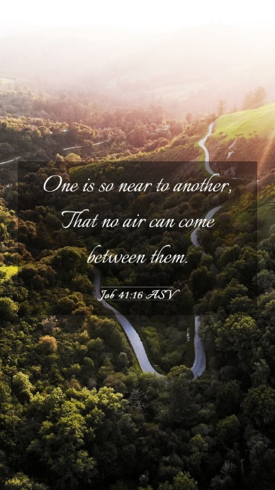 Picture 03 - Job 41:16 ASV Mobile Phone Wallpaper - One is so near to another, That no air can come - Mobile Bible Verse Wallpaper