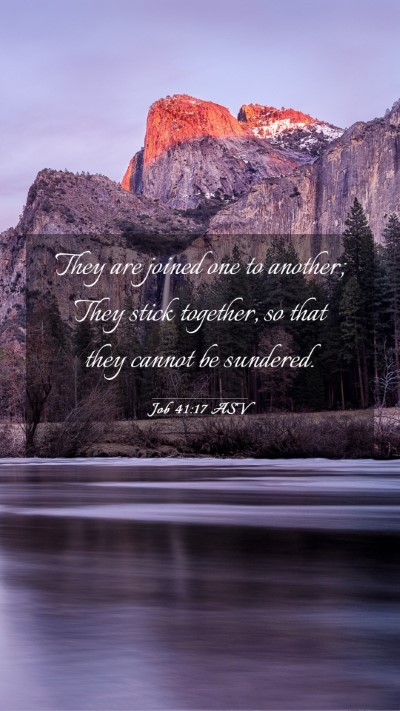 Picture 03 - Job 41:17 ASV Mobile Phone Wallpaper - They are joined one to another; They stick - Mobile Bible Verse Wallpaper
