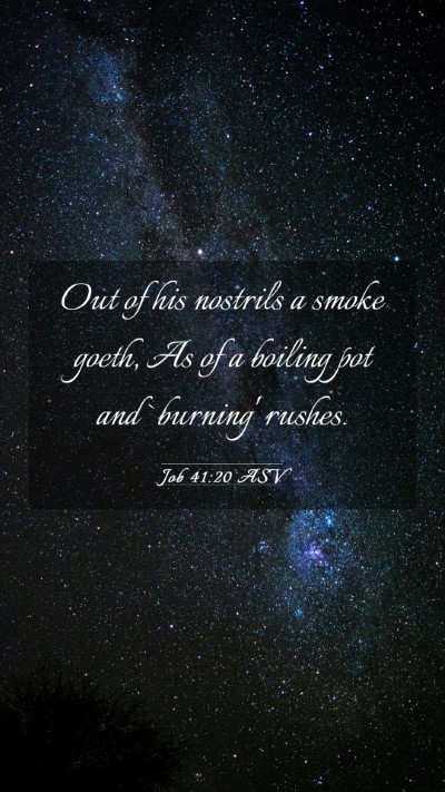 Picture 03 - Job 41:20 ASV Mobile Phone Wallpaper - Out of his nostrils a smoke goeth, As of a - Mobile Bible Verse Wallpaper