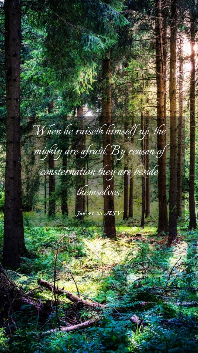 Picture 03 - Job 41:25 ASV Mobile Phone Wallpaper - When he raiseth himself up, the mighty are - Mobile Bible Verse Wallpaper