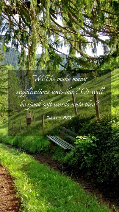 Picture 03 - Job 41:3 ASV Mobile Phone Wallpaper - Will he make many supplications unto thee? Or - Mobile Bible Verse Wallpaper