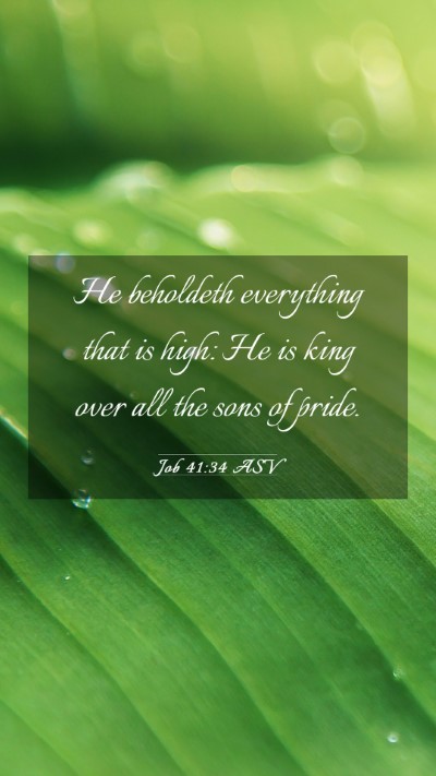 Picture 03 - Job 41:34 ASV Mobile Phone Wallpaper - He beholdeth everything that is high: He is king - Mobile Bible Verse Wallpaper