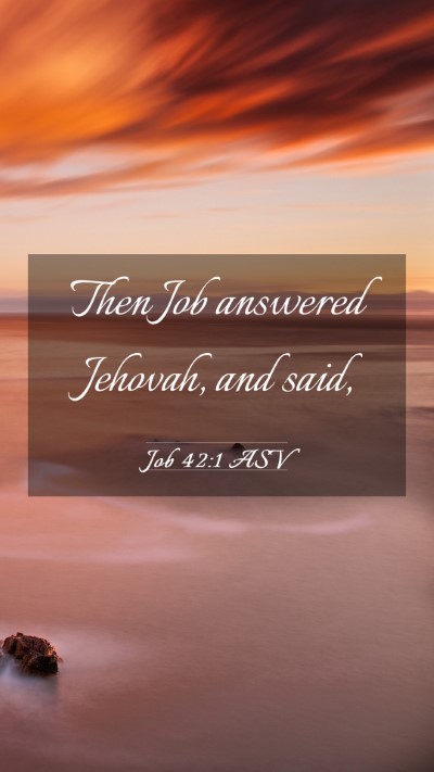 Picture 03 - Job 42:1 ASV Mobile Phone Wallpaper - Then Job answered Jehovah, and - Mobile Bible Verse Wallpaper