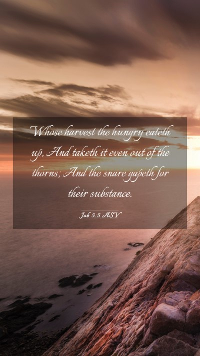 Picture 03 - Job 5:5 ASV Mobile Phone Wallpaper - Whose harvest the hungry eateth up, And taketh it - Mobile Bible Verse Wallpaper