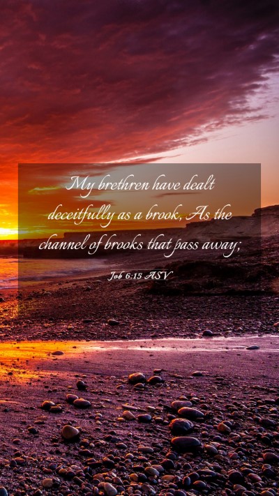 Picture 03 - Job 6:15 ASV Mobile Phone Wallpaper - My brethren have dealt deceitfully as a brook, As - Mobile Bible Verse Wallpaper