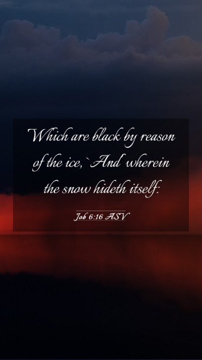 Picture 03 - Job 6:16 ASV Mobile Phone Wallpaper - Which are black by reason of the ice, `And' - Mobile Bible Verse Wallpaper