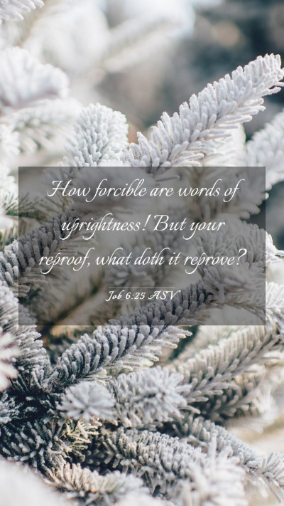 Picture 03 - Job 6:25 ASV Mobile Phone Wallpaper - How forcible are words of uprightness! But your - Mobile Bible Verse Wallpaper