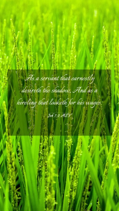 Picture 03 - Job 7:2 ASV Mobile Phone Wallpaper - As a servant that earnestly desireth the shadow, - Mobile Bible Verse Wallpaper