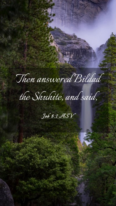 Picture 03 - Job 8:1 ASV Mobile Phone Wallpaper - Then answered Bildad the Shuhite, and - Mobile Bible Verse Wallpaper