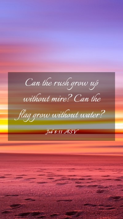 Picture 03 - Job 8:11 ASV Mobile Phone Wallpaper - Can the rush grow up without mire? Can the flag - Mobile Bible Verse Wallpaper